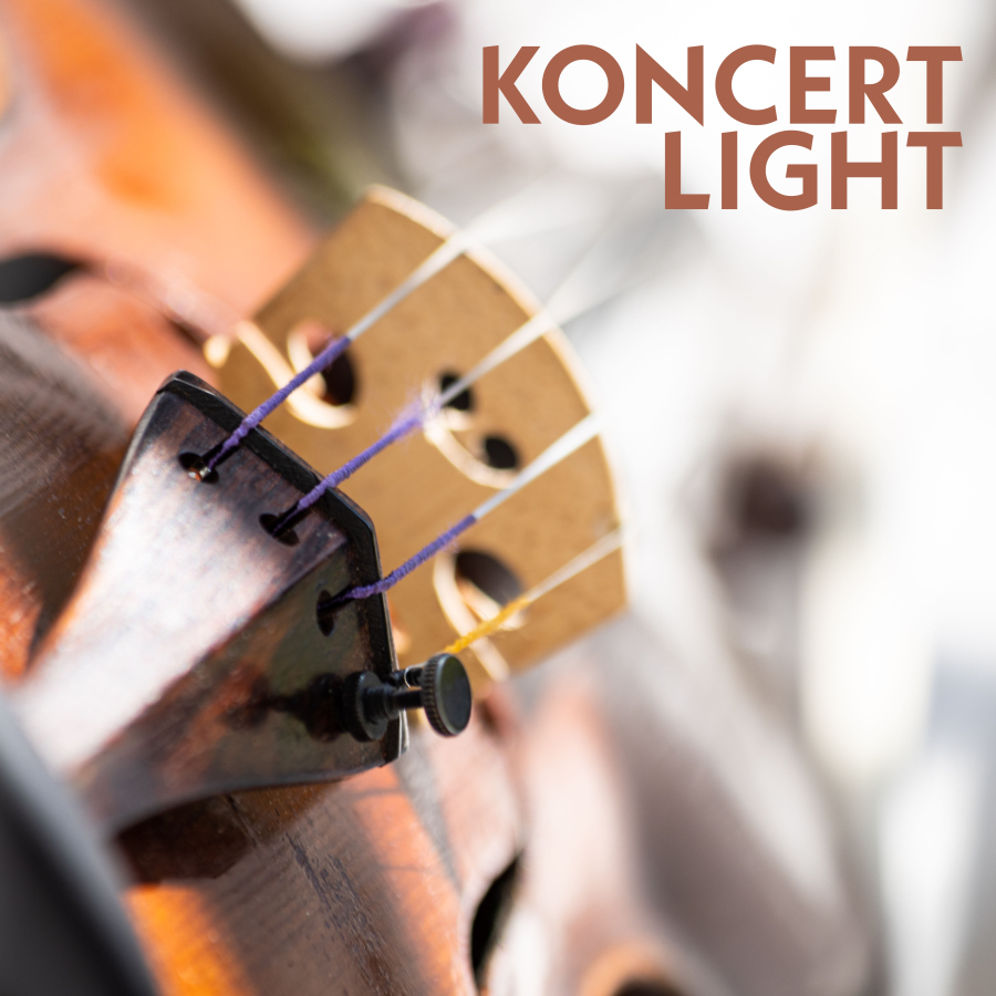 CZTERY PORY ROKU VIVALDI / OSIECKA KONCERT LIGHT