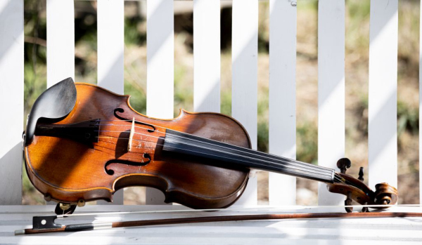 Muzyk orkiestrowy - skrzypce tutti