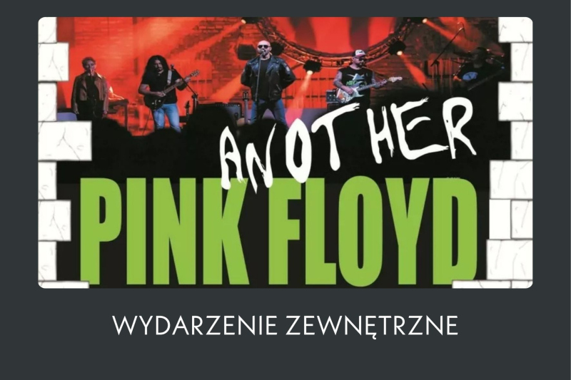 ANOTHER PINK FLOYD I MAREK RADULI 