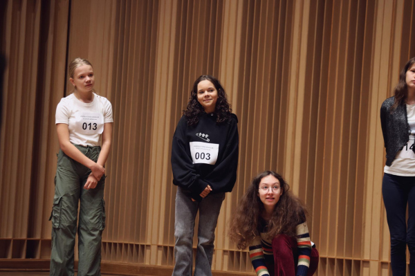 casting-13-14 09-3- 1