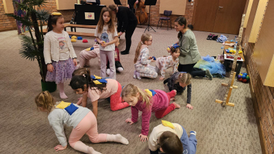 20260216 174528-copy-