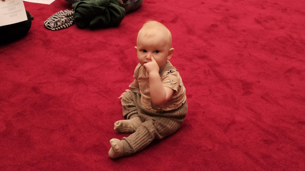 20260316 163311-copy-